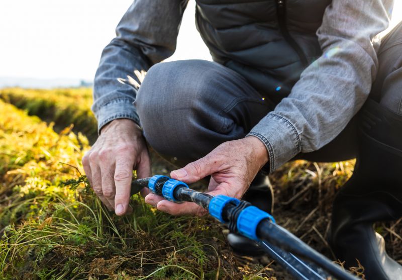 Drip Irrigation System Repair