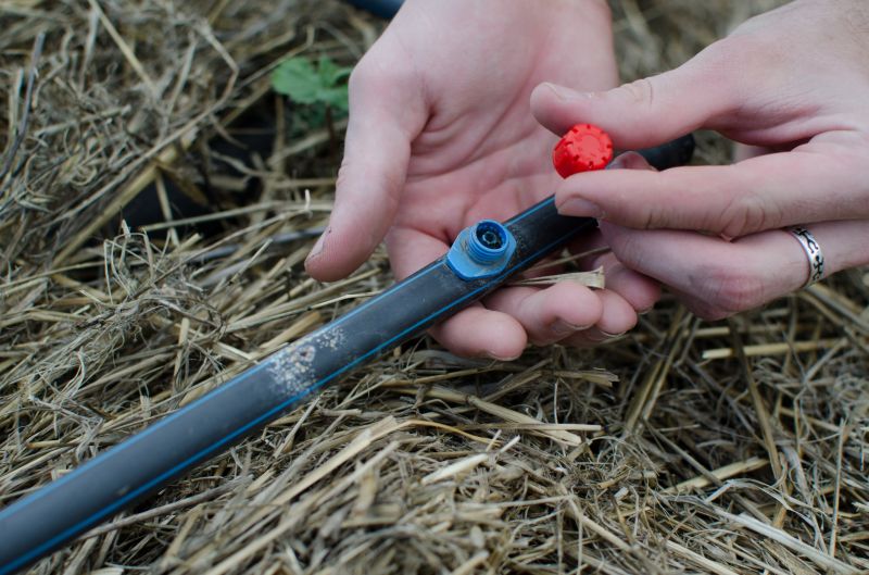 Drip Irrigation System Repair