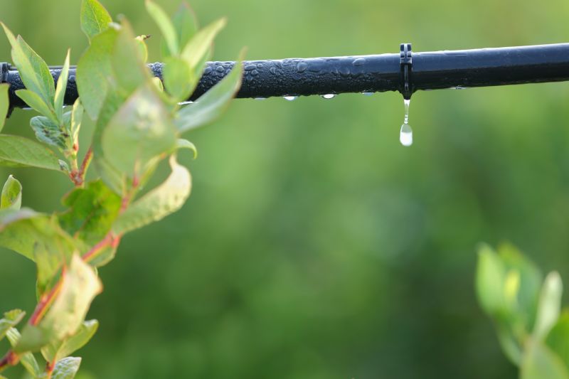 Drip Irrigation System Repair
