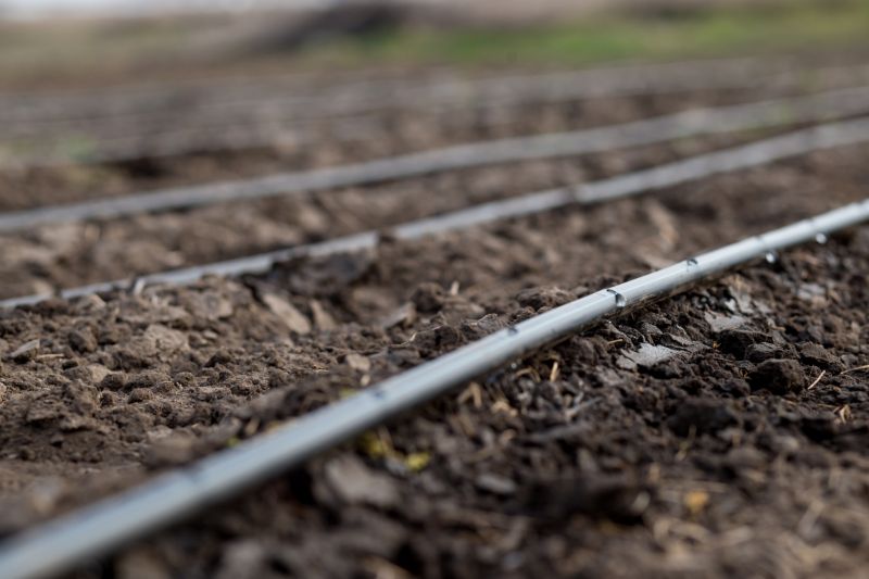 Yard Irrigation Installation in Honolulu, HI